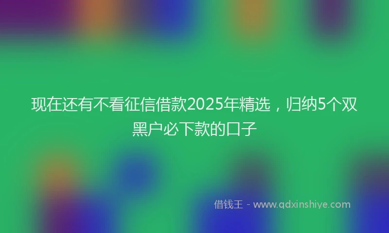 现在还有不看征信借款2025年精选，归纳5个双黑户必下款的口子