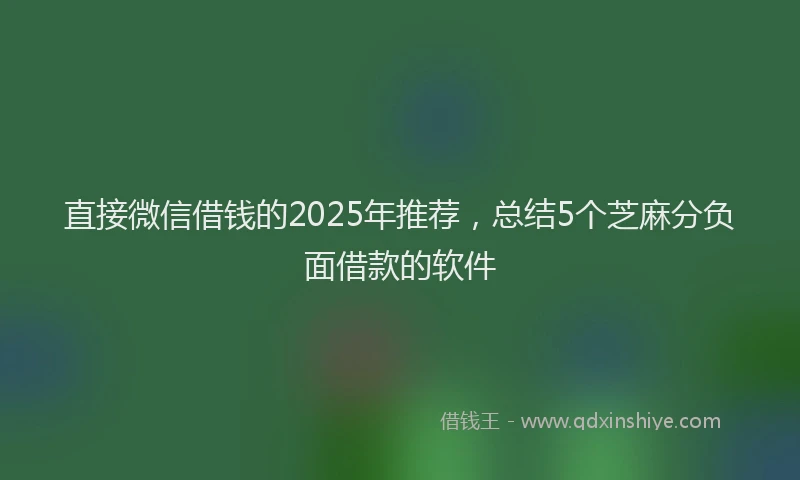 直接微信借钱的2025年推荐，总结5个芝麻分负面借款的软件