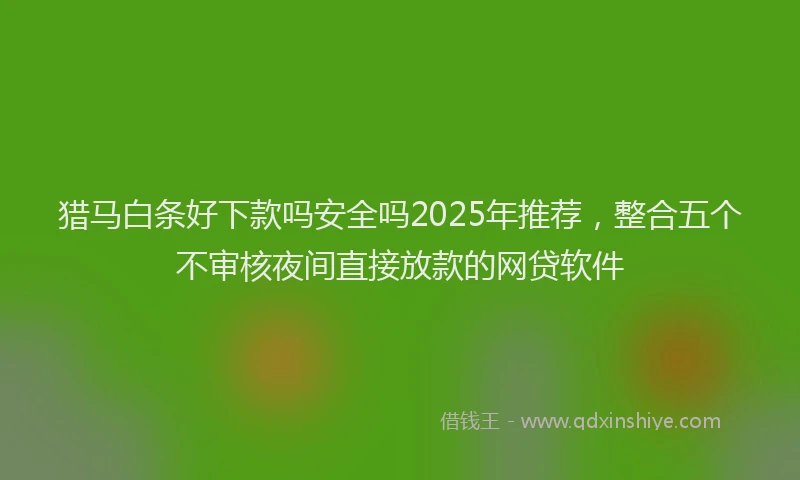 猎马白条好下款吗安全吗2025年推荐，整合五个不审核夜间直接放款的网贷软件