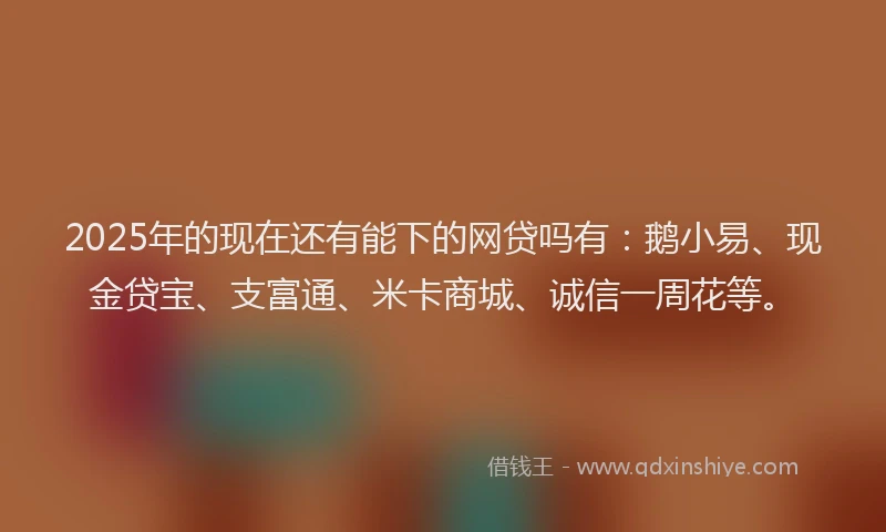 2025年的现在还有能下的网贷吗有：鹅小易、现金贷宝、支富通、米卡商城、诚信一周花等。