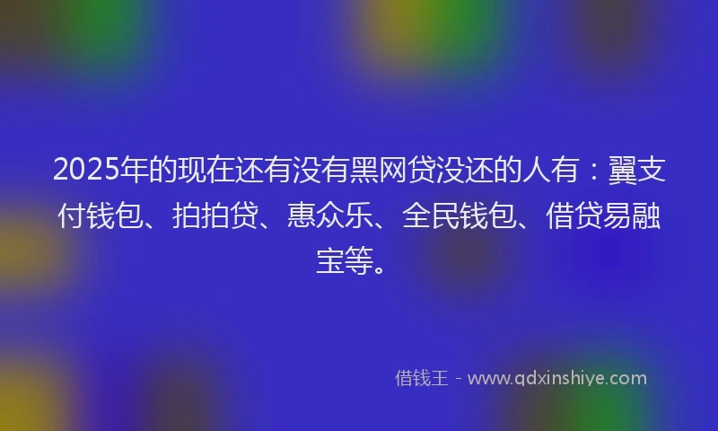 2025年的现在还有没有黑网贷没还的人有：翼支付钱包、拍拍贷、惠众乐、全民钱包、借贷易融宝等。