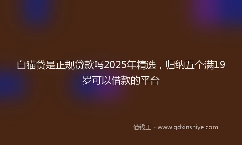 白猫贷是正规贷款吗2025年精选，归纳五个满19岁可以借款的平台