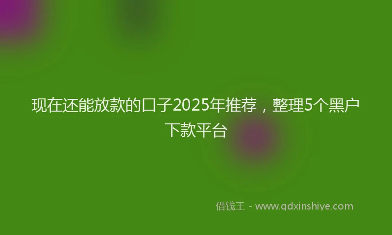 现在还能放款的口子2025年推荐，整理5个黑户下款平台