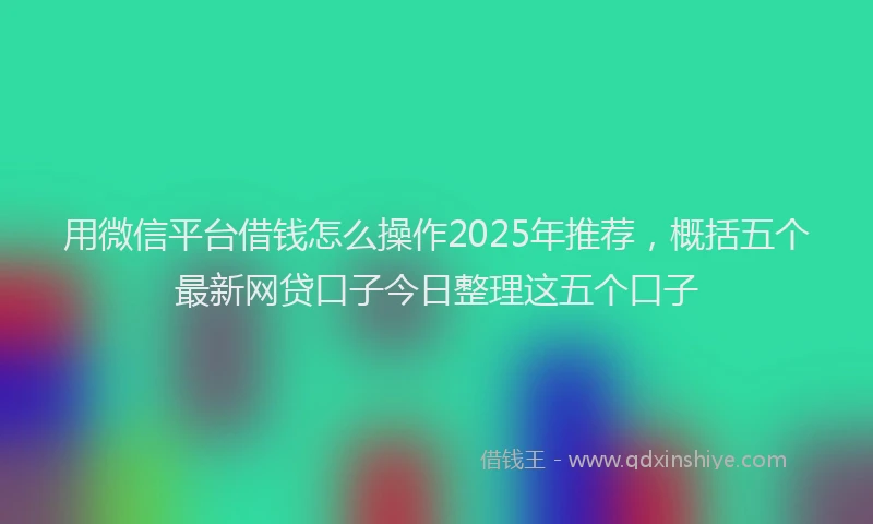 用微信平台借钱怎么操作2025年推荐，概括五个最新网贷口子今日整理这五个口子