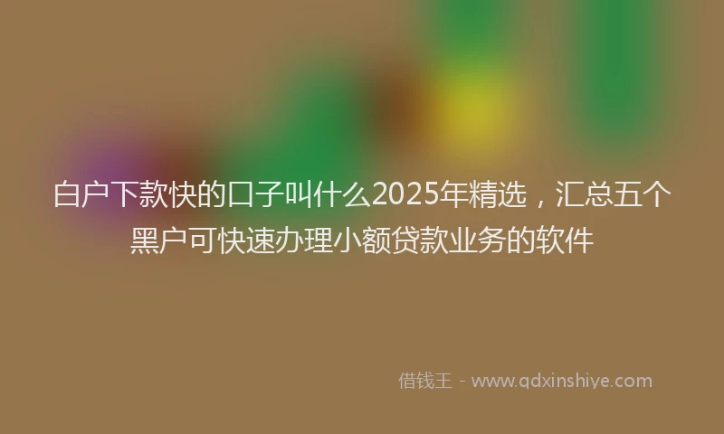 白户下款快的口子叫什么2025年精选，汇总五个黑户可快速办理小额贷款业务的软件