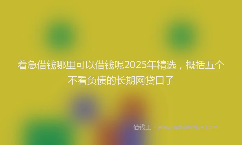 着急借钱哪里可以借钱呢2025年精选，概括五个不看负债的长期网贷口子