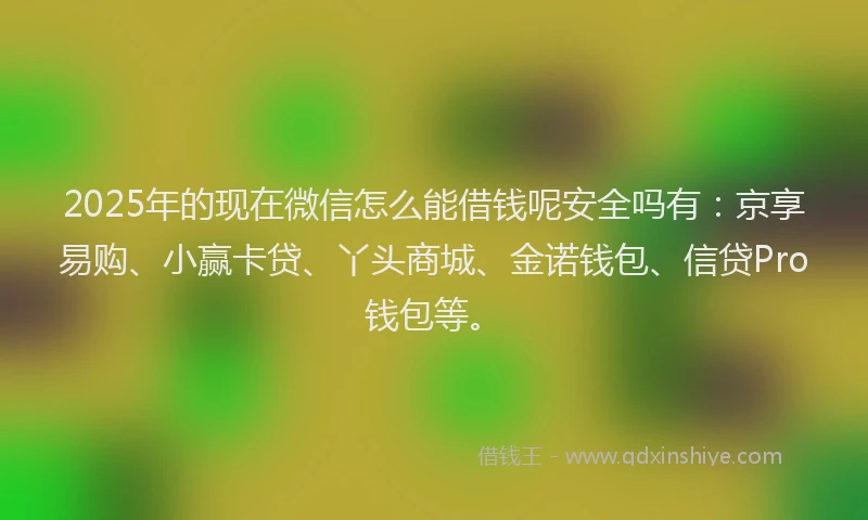 2025年的现在微信怎么能借钱呢安全吗有：京享易购、小赢卡贷、丫头商城、金诺钱包、信贷Pro钱包等。