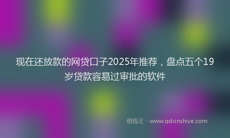 现在还放款的网贷口子2025年推荐，盘点五个19岁贷款容易过审批的软件