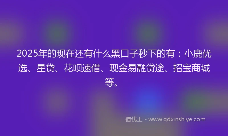 2025年的现在还有什么黑口子秒下的有：小鹿优选、星贷、花呗速借、现金易融贷途、招宝商城等。