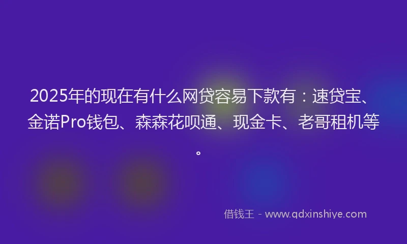 2025年的现在有什么网贷容易下款有：速贷宝、金诺Pro钱包、森森花呗通、现金卡、老哥租机等。