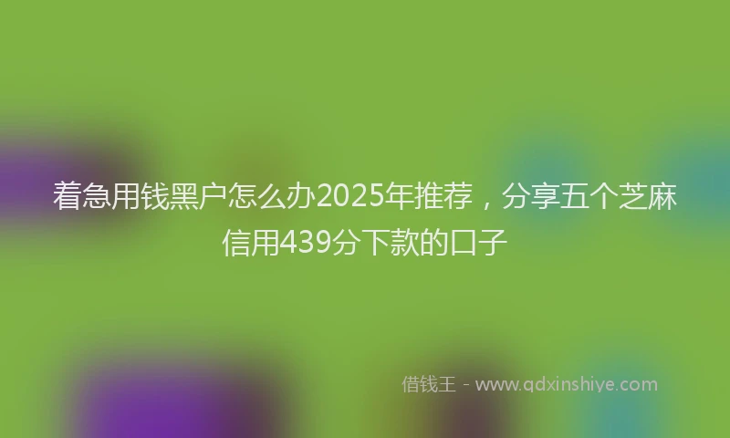 着急用钱黑户怎么办2025年推荐，分享五个芝麻信用439分下款的口子