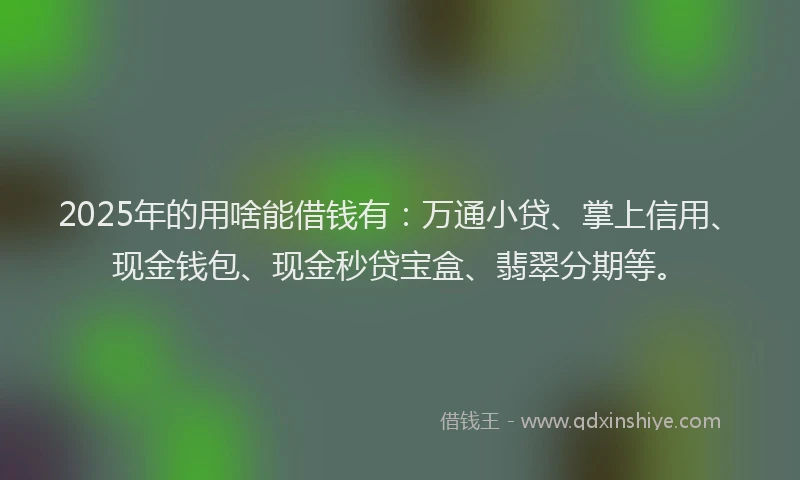 2025年的用啥能借钱有：万通小贷、掌上信用、现金钱包、现金秒贷宝盒、翡翠分期等。
