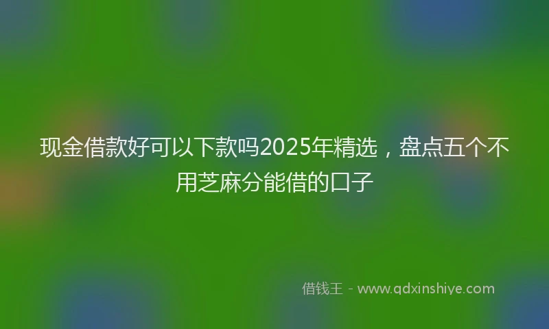 现金借款好可以下款吗2025年精选，盘点五个不用芝麻分能借的口子