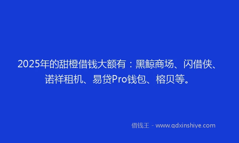 2025年的甜橙借钱大额有：黑鲸商场、闪借侠、诺祥租机、易贷Pro钱包、榕贝等。