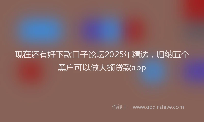 现在还有好下款口子论坛2025年精选，归纳五个黑户可以做大额贷款app