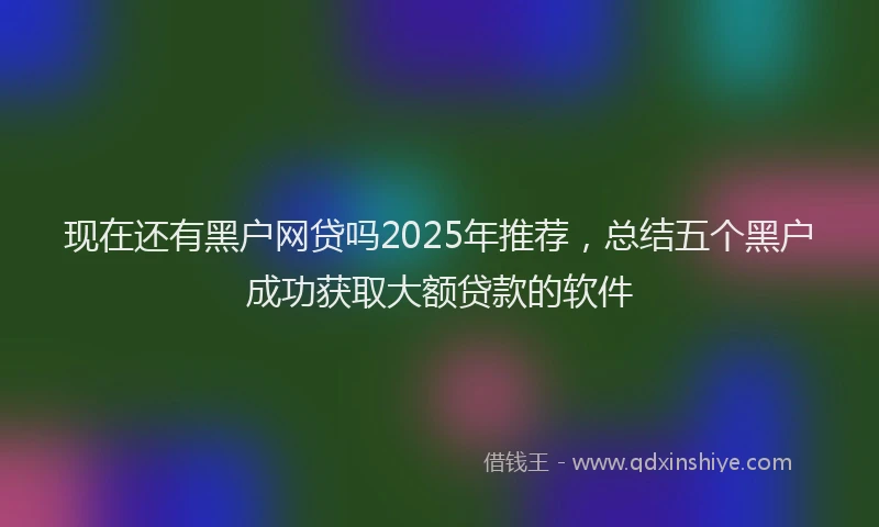 现在还有黑户网贷吗2025年推荐，总结五个黑户成功获取大额贷款的软件