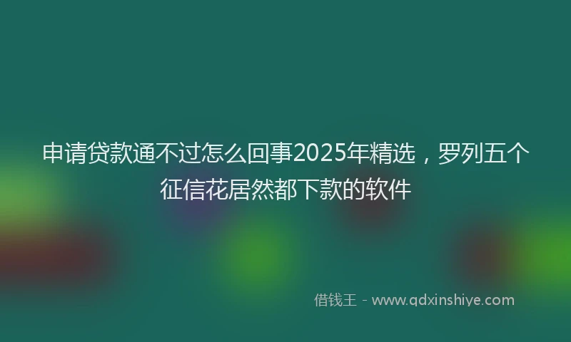 申请贷款通不过怎么回事2025年精选，罗列五个征信花居然都下款的软件