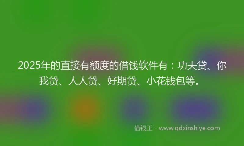 2025年的直接有额度的借钱软件有：功夫贷、你我贷、人人贷、好期贷、小花钱包等。