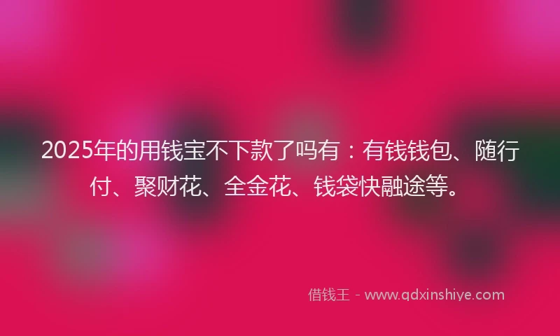 2025年的用钱宝不下款了吗有：有钱钱包、随行付、聚财花、全金花、钱袋快融途等。