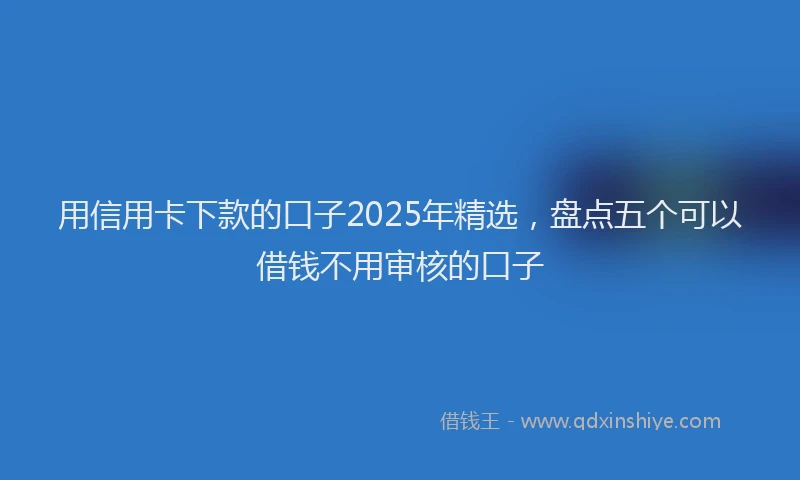 用信用卡下款的口子2025年精选，盘点五个可以借钱不用审核的口子