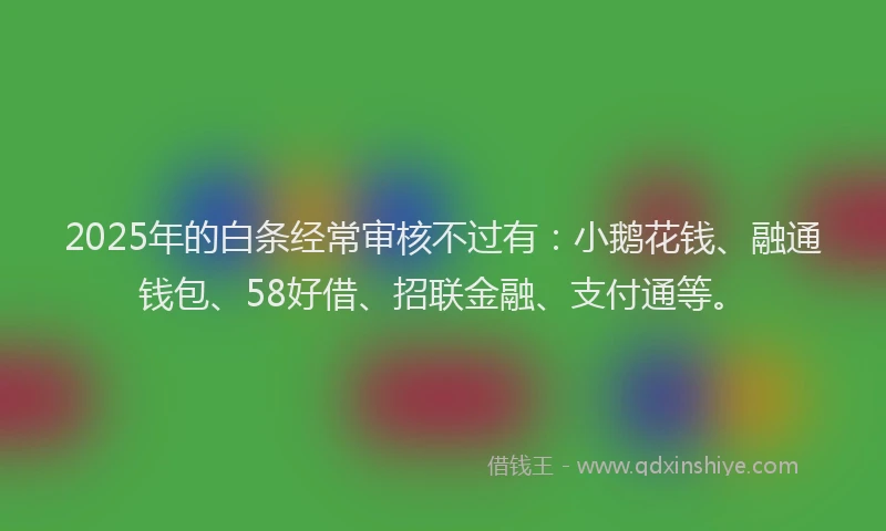 2025年的白条经常审核不过有：小鹅花钱、融通钱包、58好借、招联金融、支付通等。