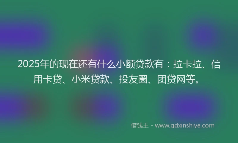 2025年的现在还有什么小额贷款有：拉卡拉、信用卡贷、小米贷款、投友圈、团贷网等。