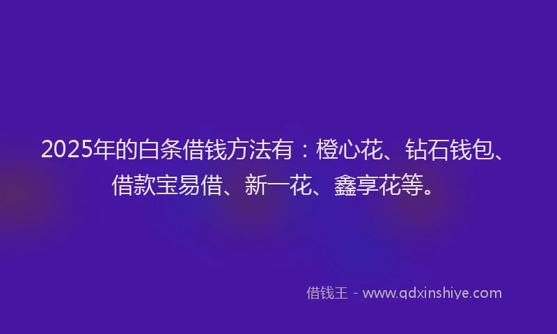 2025年的白条借钱方法有：橙心花、钻石钱包、借款宝易借、新一花、鑫享花等。