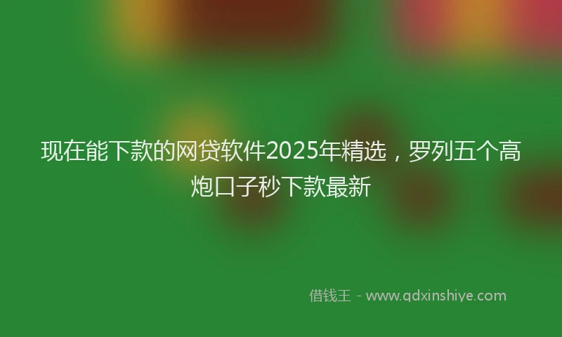现在能下款的网贷软件2025年精选，罗列五个高炮口子秒下款最新