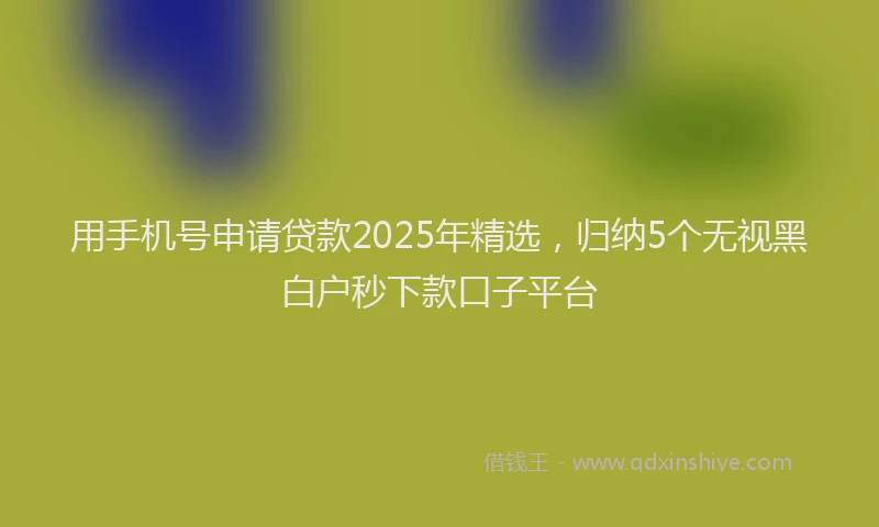 用手机号申请贷款2025年精选，归纳5个无视黑白户秒下款口子平台