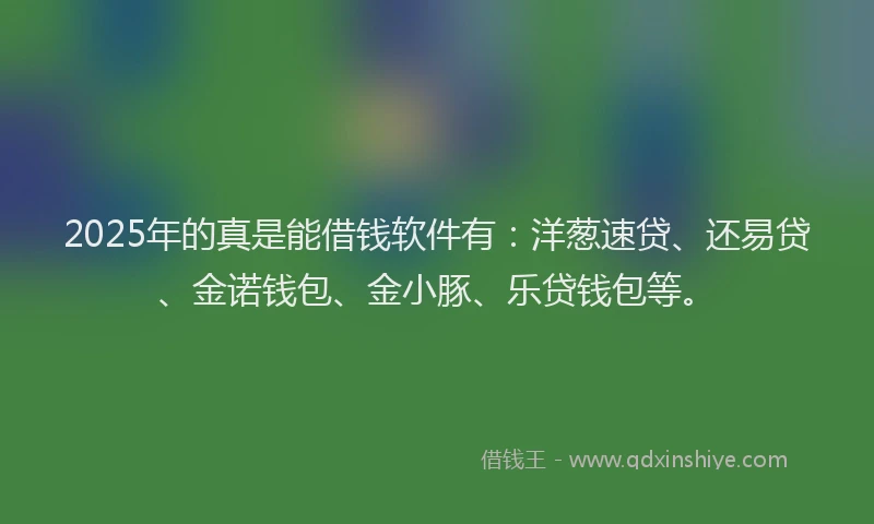 2025年的真是能借钱软件有：洋葱速贷、还易贷、金诺钱包、金小豚、乐贷钱包等。