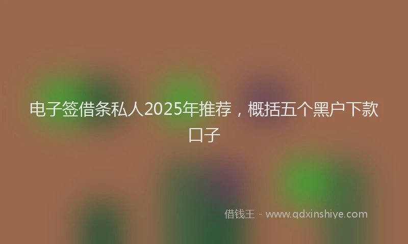电子签借条私人2025年推荐，概括五个黑户下款口子