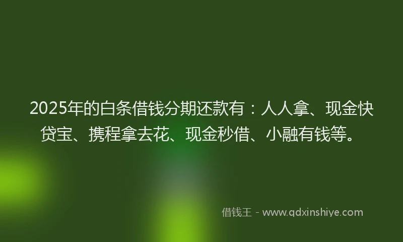 2025年的白条借钱分期还款有：人人拿、现金快贷宝、携程拿去花、现金秒借、小融有钱等。