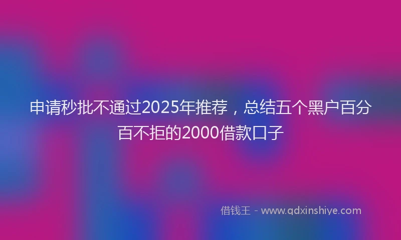申请秒批不通过2025年推荐，总结五个黑户百分百不拒的2000借款口子