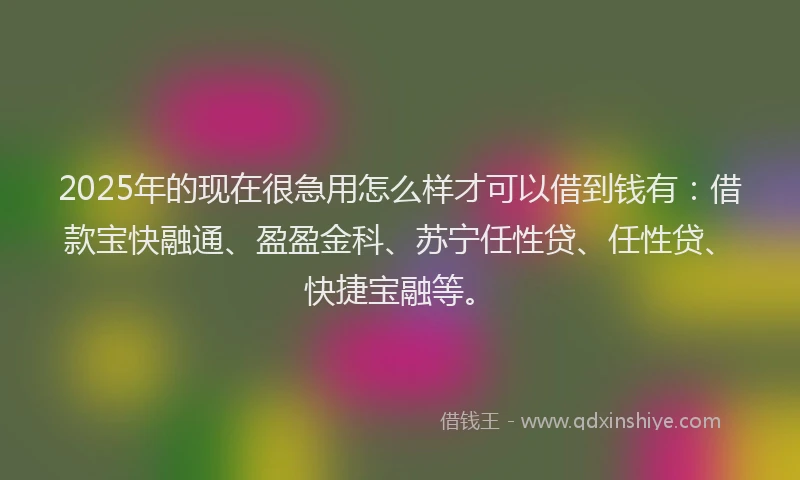 2025年的现在很急用怎么样才可以借到钱有：借款宝快融通、盈盈金科、苏宁任性贷、任性贷、快捷宝融等。