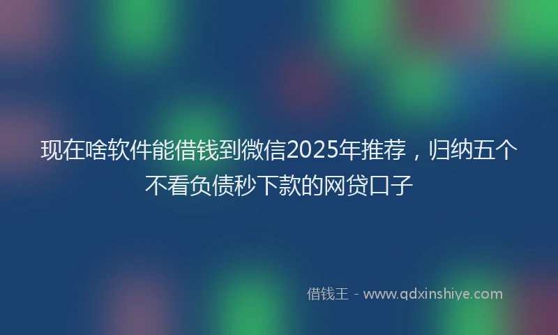 现在啥软件能借钱到微信2025年推荐，归纳五个不看负债秒下款的网贷口子