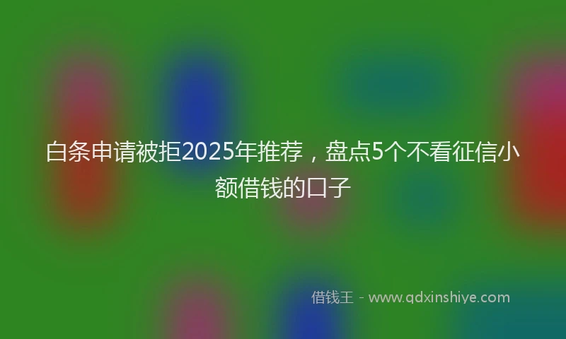 白条申请被拒2025年推荐，盘点5个不看征信小额借钱的口子