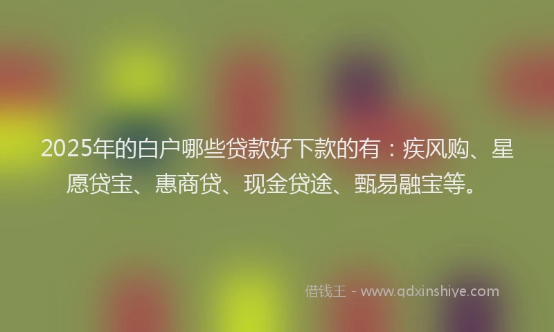 2025年的白户哪些贷款好下款的有：疾风购、星愿贷宝、惠商贷、现金贷途、甄易融宝等。