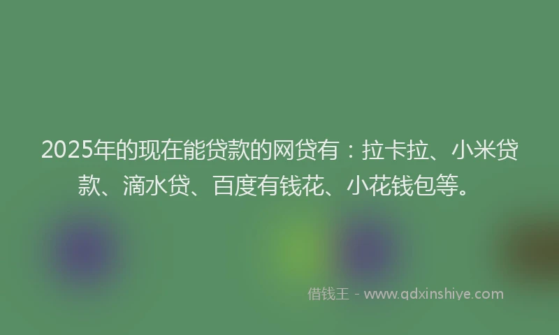 2025年的现在能贷款的网贷有：拉卡拉、小米贷款、滴水贷、百度有钱花、小花钱包等。