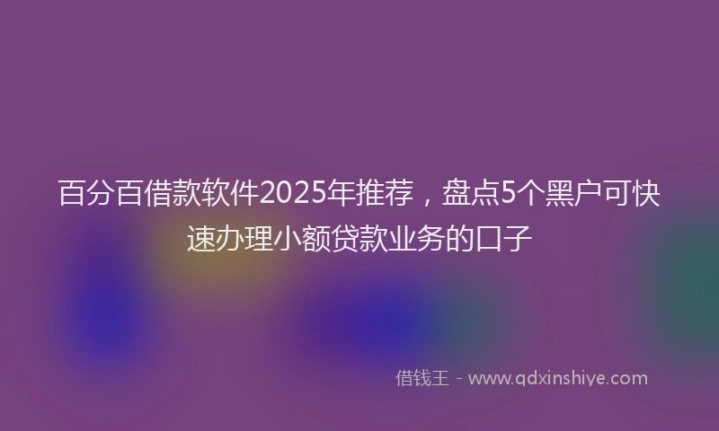 百分百借款软件2025年推荐，盘点5个黑户可快速办理小额贷款业务的口子
