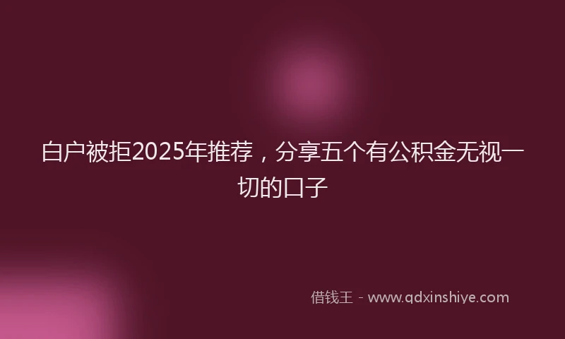 白户被拒2025年推荐，分享五个有公积金无视一切的口子