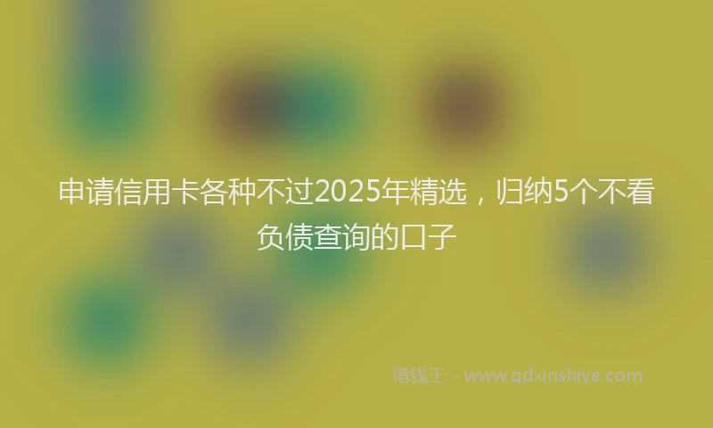 申请信用卡各种不过2025年精选，归纳5个不看负债查询的口子