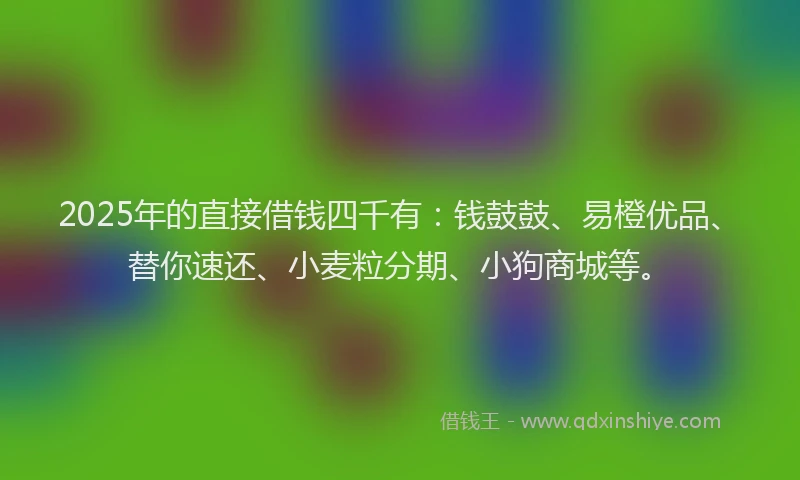 2025年的直接借钱四千有：钱鼓鼓、易橙优品、替你速还、小麦粒分期、小狗商城等。