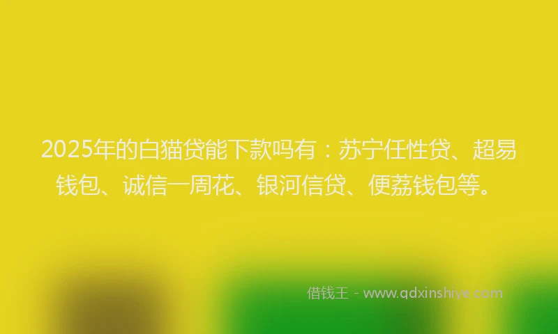 2025年的白猫贷能下款吗有：苏宁任性贷、超易钱包、诚信一周花、银河信贷、便荔钱包等。