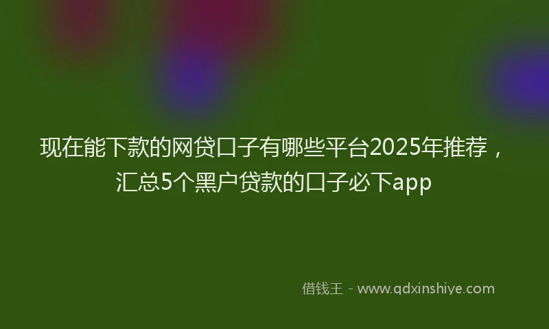 现在能下款的网贷口子有哪些平台2025年推荐，汇总5个黑户贷款的口子必下app