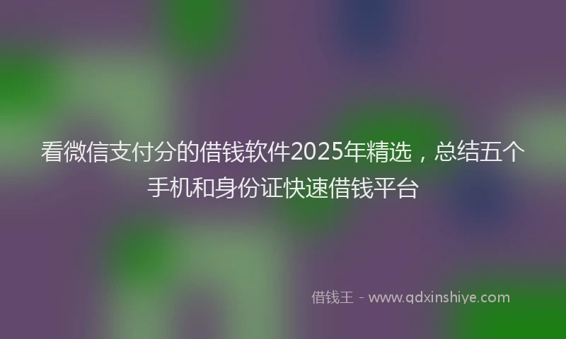 看微信支付分的借钱软件2025年精选，总结五个手机和身份证快速借钱平台