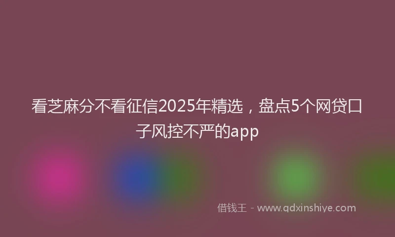 看芝麻分不看征信2025年精选，盘点5个网贷口子风控不严的app