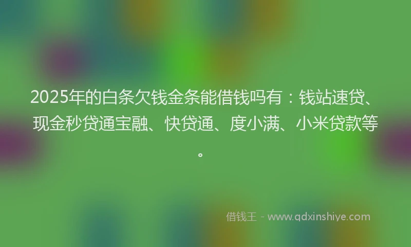 2025年的白条欠钱金条能借钱吗有：钱站速贷、现金秒贷通宝融、快贷通、度小满、小米贷款等。