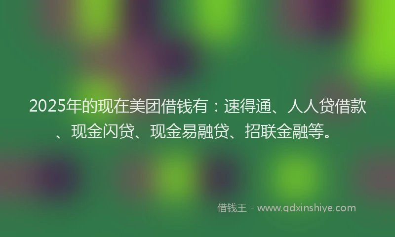 2025年的现在美团借钱有：速得通、人人贷借款、现金闪贷、现金易融贷、招联金融等。
