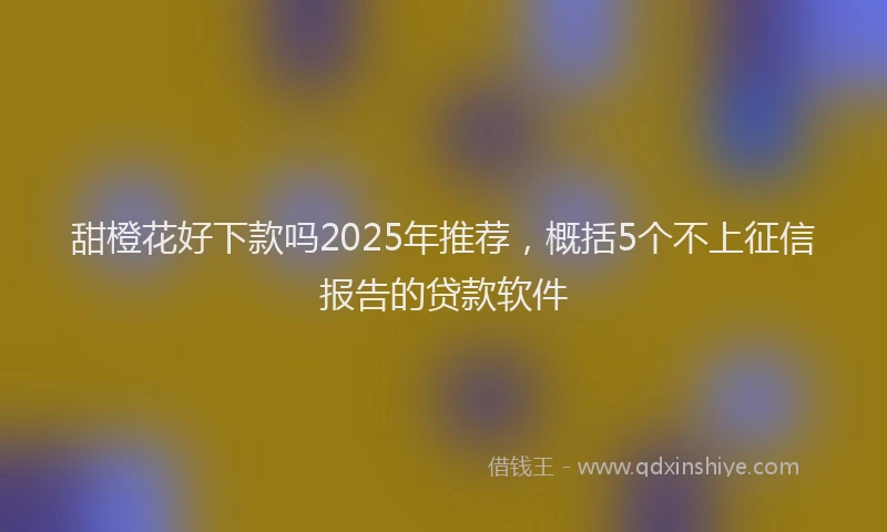 甜橙花好下款吗2025年推荐，概括5个不上征信报告的贷款软件