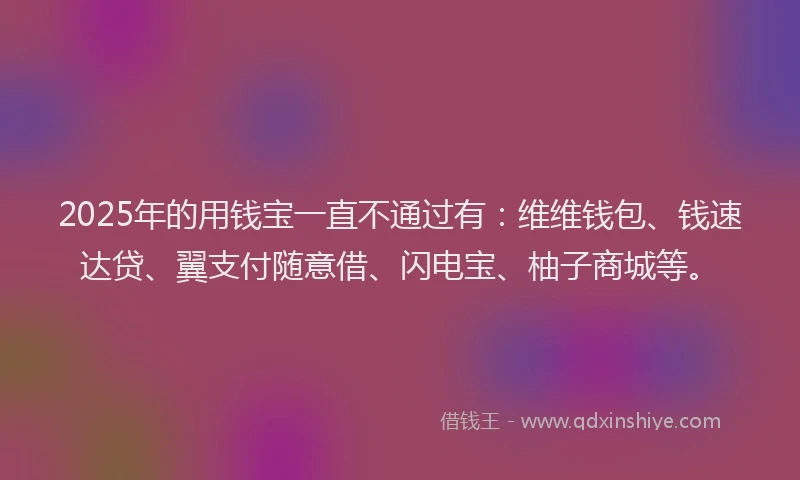 2025年的用钱宝一直不通过有：维维钱包、钱速达贷、翼支付随意借、闪电宝、柚子商城等。